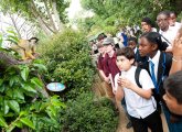 Take Learning Out of the Classroom with ZSL