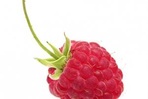 Raspberry Pi competition launched