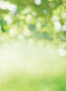 5 tips for sustainability