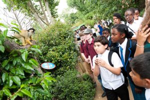 Take Learning Out of the Classroom with ZSL