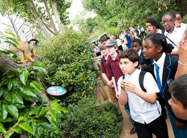 Take Learning Out of the Classroom with ZSL