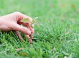 Taking learning outside