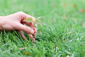 Taking learning outside