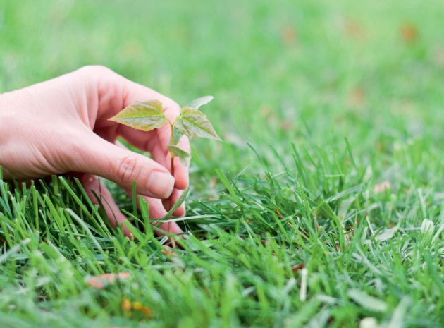 Taking learning outside