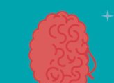What happens in the teenage brain