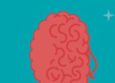 What happens in the teenage brain