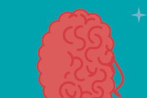 What happens in the teenage brain