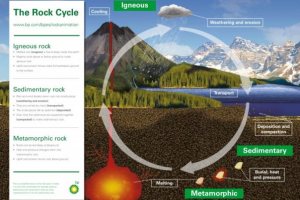 Take A Look At The Latest Free Resources From The BP Educational Service